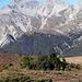 inn discesa  verso Buffalora