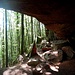 Unterwegs im Felsenwald! Das erste Highlight: Eine Höhle am Wegesrand.