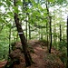 Der Felsenwald-Weg quert nun am nördlichen Ausläufer des Ortes einen Platz (Bushalte), und führt drüben wieder hinunter in den Wald, zum Geisenfelsen