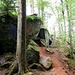 Die von der Moosalbe durchflossene Felsenschlucht gehört wegen der großen Felsbrocken aus rotem Buntsandstein, wegen zahlreicher kleiner Wasserfälle und des alten Baumbestands zu den schönsten Tälern der Pfalz.