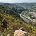 Dann wanderte ich die Gans hinauf, und genoss die dortige Aussicht auf den Rheingrafenstein und den Rotenfels.