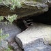 Schnell gelangte ich hinauf in die Drachenhöhle, durch die ich die zuvor bereits von oben erkundeten Steinstufen erreichte.