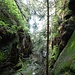 Der Wilde Grund ist eine kleine Schlucht, in der ein weitgehend naturbelassenes Weglein über Felsen hinunter führt.