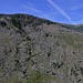 Waldschäden