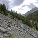Sentiero per l'Alpe Pirola