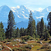 Blick über das Hochmoor zu Eiger, Mönch & Jungfrau.
