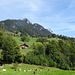 erster Blick aufs Looherehürli von Weissenburg-Berg