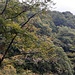 Madonna del Cep - Seghebbia. Ammirando l'ambiente circostante. 