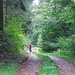 Die Wälder zwischen Buchholz und Heppenbach