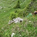 ein Helm auf Wanderschaft