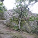 Auf den nächsten Felsen, den Rocher du Falkenstein, gelangt man mit leichtem Kraxeln hinauf. Der Herr rechts macht es etwas schwieriger und übt dort Klettern mit Seil.