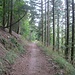 Auf dem Rückweg nahm ich etwas breitere Forstwege, die unterhalb der Berghöhen entlang verlaufen.