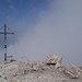 Gipfel Alpspitze