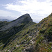 Vue en arrière vers le Schibengütsch