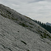 "Coulée" de lapiaz au-dessus de la Bodehütte