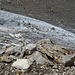 Felsen und sterbendes Eis