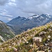 Mit Blick zum Lago Bianco und Berninapass geht unsere Wanderung langsam zu Ende