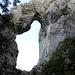Fenster