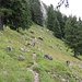Aufstieg
