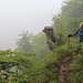 Ohne Nebel ein aussichtsreicher Weg