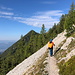 Im Aufstieg zur Vrtača/Wertatscha - Ohne größere Höhenunterschiede durch deren Südflanke.