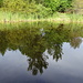 Ein hübscher Teich am Beginn des GR 653. Im Umfeld gibt es einige Sitzmöglichkeiten.