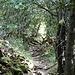 wer schaut denn da aus dem Wald?