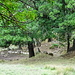 Prieurè de Grandmont, Außenanlagen