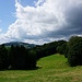 drüben der Gallner