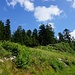 Sommerberg