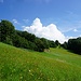 schöne Wiesen