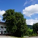a, Wirtshaus vorbei