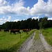 letzte Querung