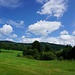 Wiesen und Wälder