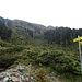 Abzweigung des Wegs zum Ölgrubenjoch