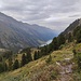 Der Weg führt durch schönes Gelände.