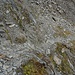 Felsige Stelle im Abstieg vom Joch