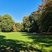Im Kurpark, bepflanzt mit Bäumen aus aller Herren Länder (soweit sie halt Frost vertragen)
