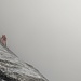 Les vires de départ. Tu parles d'une vire ! 