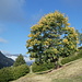 schöne Herbststimmung oberhalb der Bergstation Monte di Comino