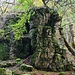 Iltisfelsen