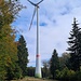 Abgesehen von den Flächen um die Windräder gibt es nur dichten Wald und somit keine Aussicht 