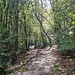 Im Wahnbachtal 