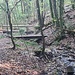 Viele Stege auf dem Abschnitt nach dem Heberloch 
