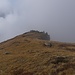 Liwends Horn
