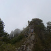 Mittler Goggeien