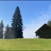Günterigs
