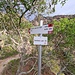 <b>Il sentiero 226, per escursionisti esperti (EE), inizia alle spalle della chiesa e sale in direzione NW. Si sviluppa in un paesaggio molto suggestivo su rocce affioranti e terra arida, fra cespugli e lecci. </b>