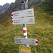 Als Abstieg wähle ich den Weg über die Rinderalpe