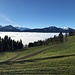 ... und schreiten nun - angesichts der Rigikette - weiter (noch) im Grünen hoch ...